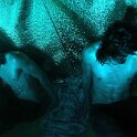 Joe D Martinez by Aurora Rose de Crosta (2)