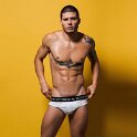 For Bench Body