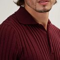Joe D Martinez for Ron Tomson (37)
