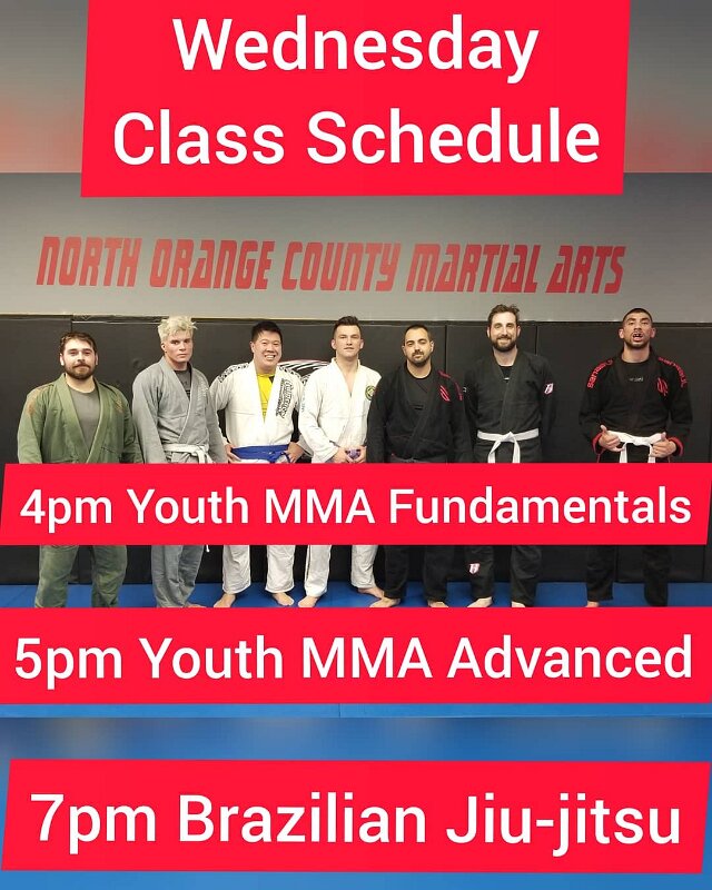 Joe D Marinez BJJ (13)