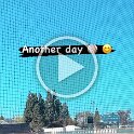 Baseball (34)