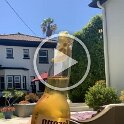 Fun at Darrens house V (43)