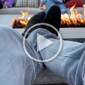 Joe Miscellaneous V (5)