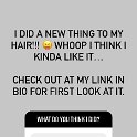 Miscellaneous (169)