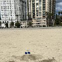 Miscellaneous (255)