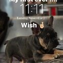 Miscellaneous (26)
