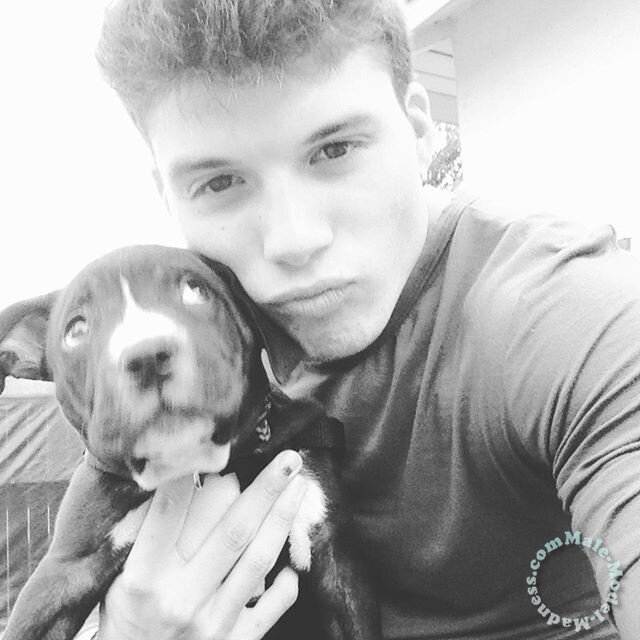 Joe D Marinez Pets (4)