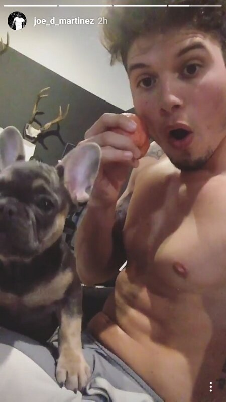 Joe D Marinez Pets (7)
