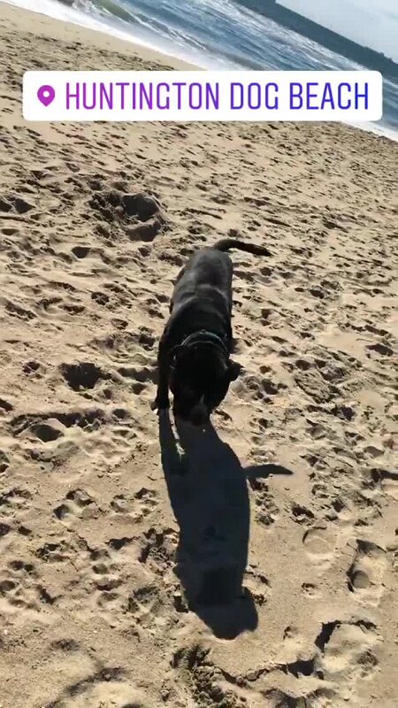Play video