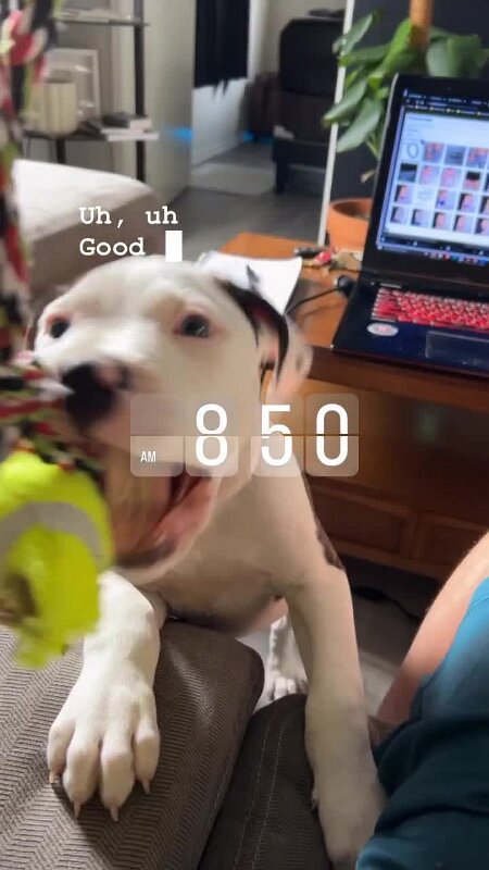 Play video