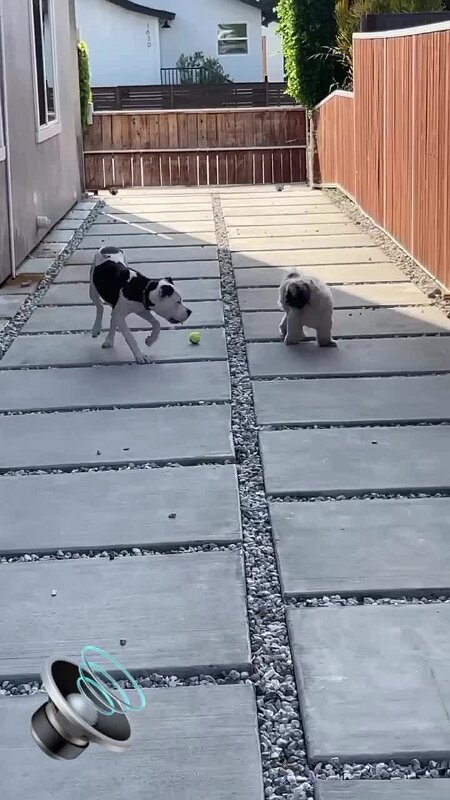 Play video