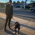 Joe D Marinez Pets (18)