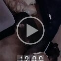 Joe D Martinez Pets V (14)