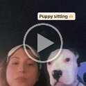 Joe D Martinez Pets V (39)