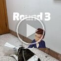 Joe D Martinez Pets V (65)