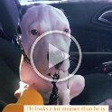 Joe D Martinez Pets V (72)