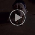 Joe D Martinez Pets V (78)