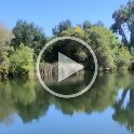 Miscellaneous (110)