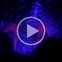 Miscellaneous (69)
