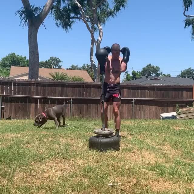 Play video