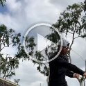 Work outs V (28)