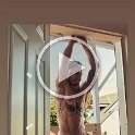 Joemartinezxfit V(30)