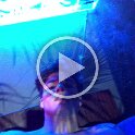 Joe D Martinez OnlyFans (17)
